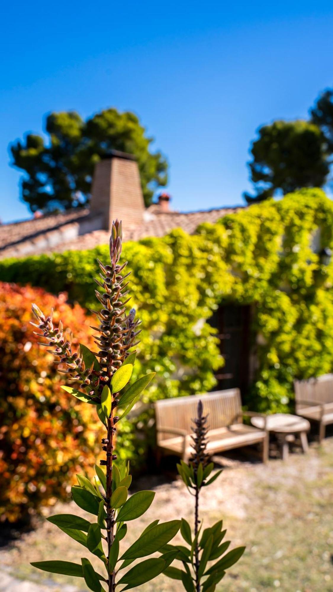Eco Hotel Con Encanto Masia La Mota B&B Alcoy Zewnętrze zdjęcie