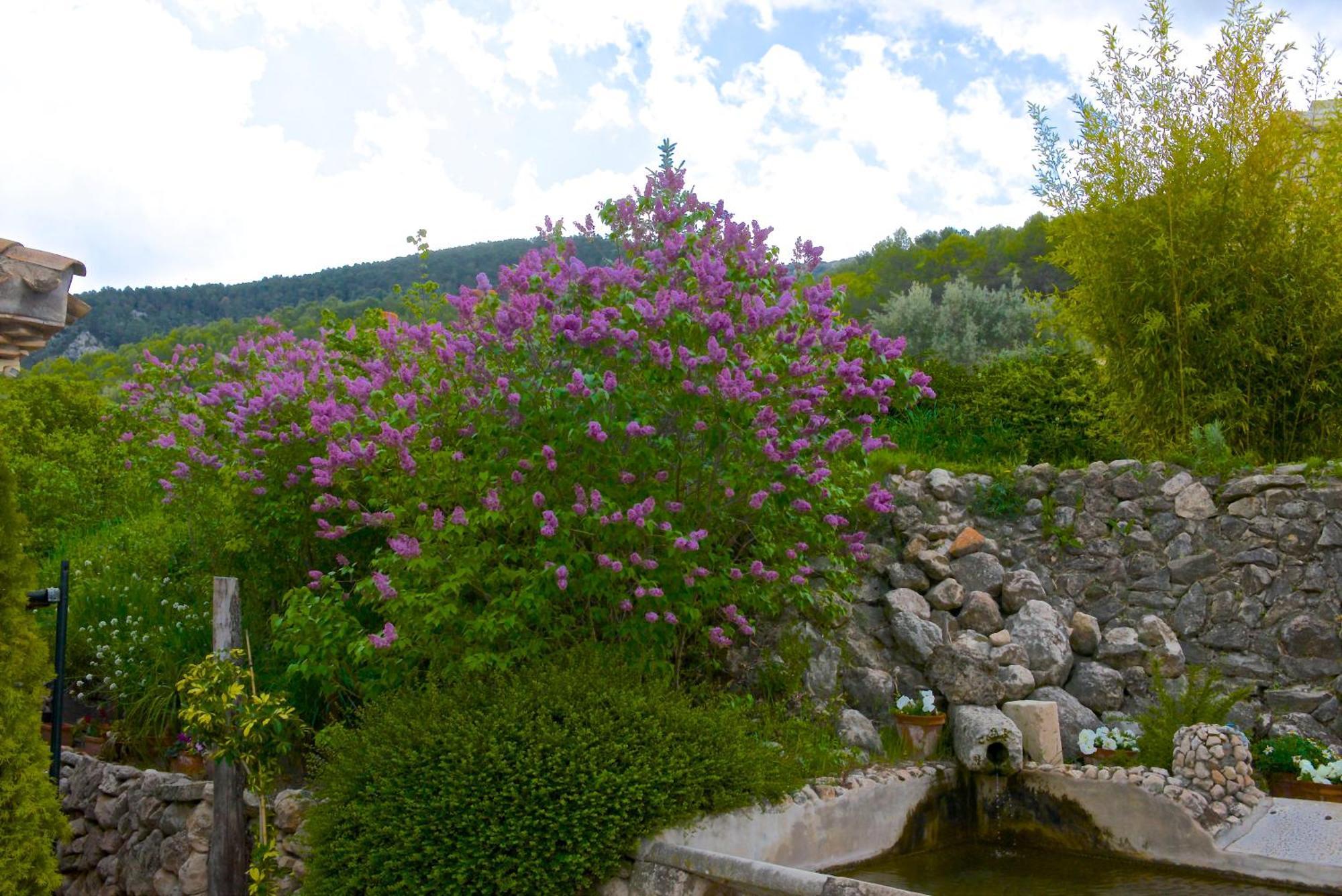 Eco Hotel Con Encanto Masia La Mota B&B Alcoy Zewnętrze zdjęcie